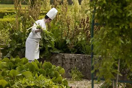Chateau De Cocove 4*