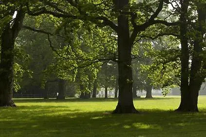 Chateau De Cocove Hotel Recques-sur-Hem